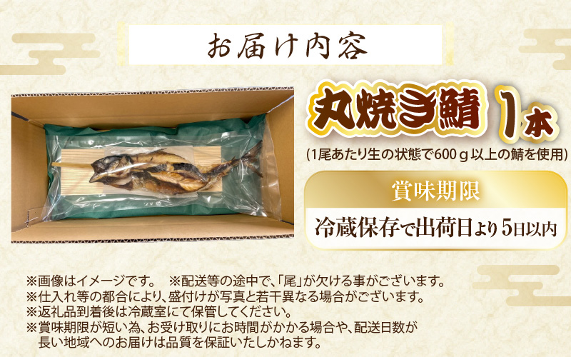 【先行予約】【福井県名物】丸焼き鯖 1本 職人の焼きで香ばしくジューシー 【2026年5月下旬頃より順次発送】【さば 焼き魚 焼き サバ 丸焼き 惣菜 半夏生 はんげしょう 酒の肴 郷土料理】 [e38-a004]