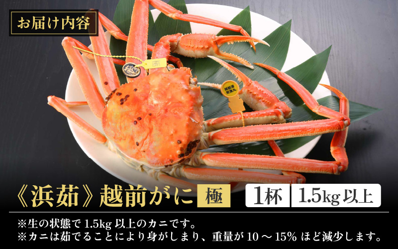 ≪浜茹で≫越前がに 極（生で1.5kg以上） × 1杯【雄 ズワイガニ 越前ガニ 姿 ボイル 冷蔵 かに カニ 蟹 福井県】【3月発送分】希望日指定可 備考欄にメールアドレスをご記入ください [e43-x013_03]