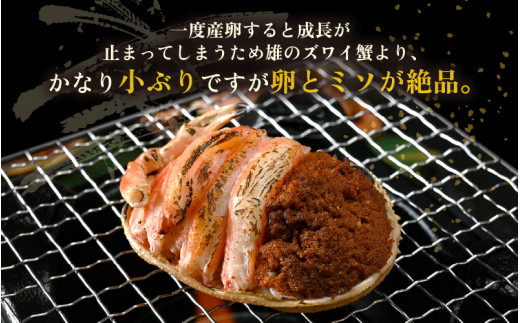 産地直送！越前せいこ蟹 甲羅盛り「身出し」セット 5杯 鮮度にこだわり「冷蔵」発送！旨味満足【雌 ズワイガニ】【越前がに せいこがに セイコガニ セコガニ ボイル むき身 かに カニ 蟹 福井県】【1月発送分】希望日指定可 備考欄に希望日をご記入ください [e49-x005【】01]