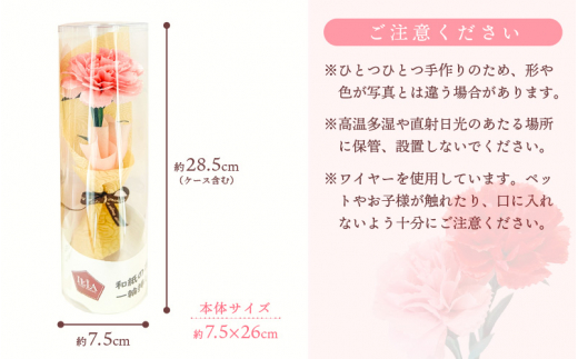 【先行予約】【母の日】カーネーション 花 ギフト 越前和紙 花一輪挿し 【2026年5月発送】「永遠の感謝」 メッセージ 【カラー：赤色】【 フラワーギフト 和紙花 手軽 コンパクト 枯れない  メッセージカード １万円以下】 [e51-a004【】01]