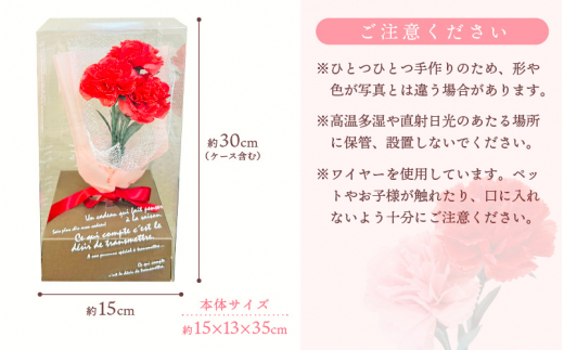 【先行予約】【母の日】カーネーション ブーケ 花 ギフト 越前和紙 花 【2026年5月発送】「永遠の感謝」 メッセージ【カラー：赤色】【 フラワーギフト 和紙花 手軽 コンパクト 枯れない  メッセージカード 】 [e51-a005【】01]