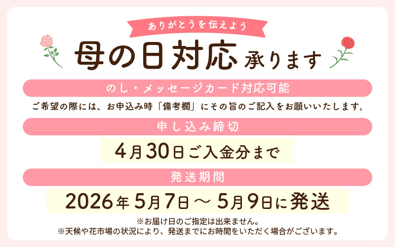 【先行予約】【母の日】 そのまま飾れる 花 ギフト フラワーアレンジメント 【2026年5月発送】生花 感謝を伝える メッセージ カード付・付属にて越前和紙 小花一輪付【福井県 花 華 おしゃれ プレゼント ギフト 母の日  手軽 メッセージカード】 [e51-a006]