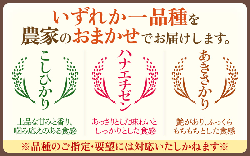 【生活応援米】定期便 ≪3ヶ月連続お届け≫  令和7年産 特別栽培米5kg × 3回（合計15kg）福井県越前町産【白米】【お米 コメ kome 5キロ  白米 玄米 家庭用 農薬5割減】 [e81-c001_01]