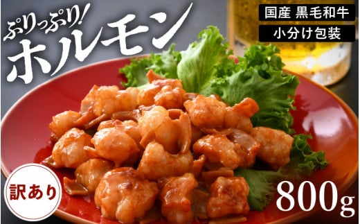 【訳あり】国産 黒毛和牛 ぷりっぷり ホルモン 800g（200g × 4袋）特製タレ味付き 小分け【 小腸 】 [e02-a016] 