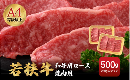 若狭牛 和牛肩ロース焼肉用 計500g（250g × 2パック）福井県産 肩ロースA4等級 以上を厳選！【牛肉 黒毛和牛 黒毛 和牛 冷凍 小分け バーべキュー グルメ】 [e02-b009]