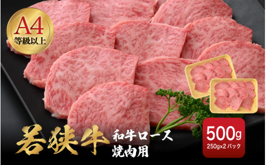 若狭牛 和牛ロース焼肉用 計500g（250g × 2パック）福井県産 ロースA4等級 以上を厳選！【牛肉 黒毛和牛 黒毛 和牛 冷凍 小分け バーべキュー グルメ】 [e02-c011]