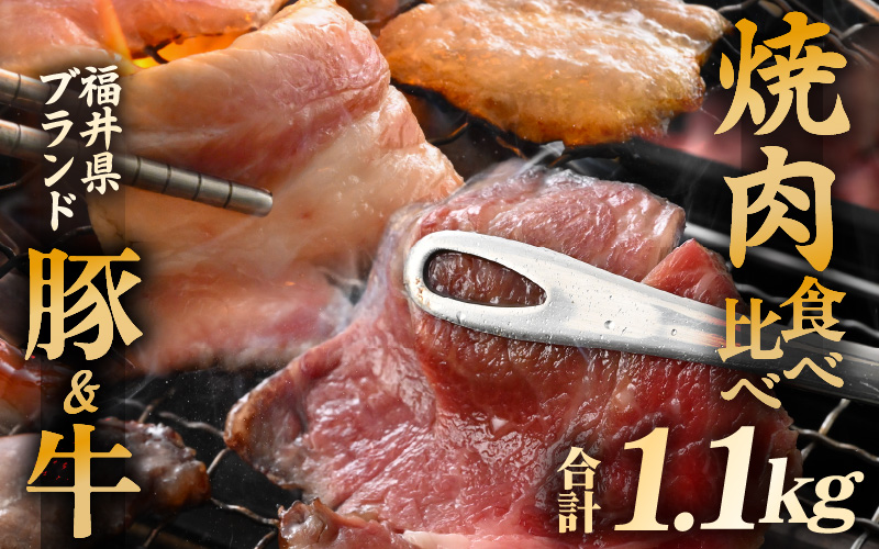 「福井県ブランド肉」食べ比べ 若狭牛 ふくいポーク 焼肉用 合計1.1kg（豚バラ 和牛肩ロース）A4等級以上を厳選！【牛肉 黒毛和牛肉 銘柄豚肉 豚ばら肉 国産豚肉 福井県産 ポーク 焼き肉 おかず 夕食 キャンプ飯 ぶたにく 使い勝手抜群 三元交配 肉 冷凍 肉 小分け BBQ】 [e02-c013]
