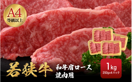 若狭牛 和牛肩ロース焼肉用 計1kg（250g × 4パック）福井県産 肩ロースA4等級 以上を厳選！【牛肉 黒毛和牛 黒毛 和牛 冷凍 小分け バーべキュー グルメ】 [e02-d005]