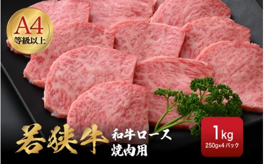 若狭牛 和牛ロース焼肉用 計1kg（250g × 4パック）福井県産 ロースA4等級 以上を厳選！【牛肉 黒毛和牛 黒毛 和牛 冷凍 小分け バーべキュー グルメ】 [e02-g002]