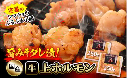 国産牛 上ホルモン 計500g（250g × 2袋）シマチョウ・ぷるぷる小腸のセット 旨みそダレ漬！【 お手軽 小分け BBQ バーベキュー 】 [e03-a016]