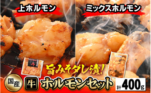 国産 牛ホルモン セット 計400g（上ホルモン・ミックスホルモン 各1袋） 旨みそダレ漬け！ 【 冷凍 お手軽 小分け BBQ バーベキュー 】 [e03-a027]