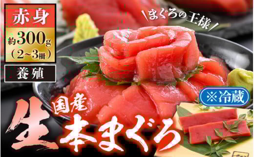 「生本まぐろ」赤身 約300g（2～3柵） まぐろの王様！！【本まぐろ 鮪 ホンマグロ まぐろ 冷蔵 お取り寄せ グルメ】 [e04-a082]
