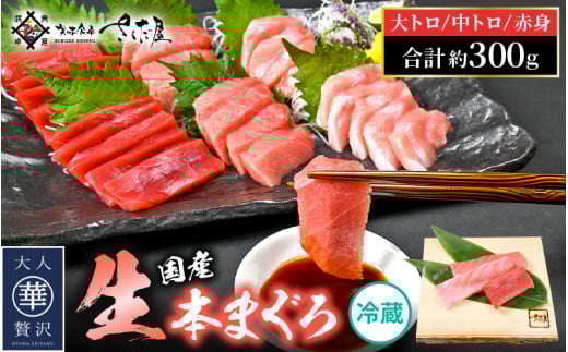 生 本マグロ まぐろ三昧 おためし セット 合計 約300g「大トロ・中トロ・赤身」各 約100g（計3柵） 【本まぐろ マグロ まぐろ 大とろ 中とろ 冷蔵 お取り寄せ グルメ】 [e04-a083]