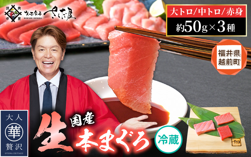生 本マグロ まぐろ三昧 おひとりさま ミニ セット 合計約150g「大トロ・中トロ・赤身」各約50g（計3柵） 【本まぐろ マグロ まぐろ 大とろ 中とろ 冷蔵 お取り寄せ グルメ】 [e04-a122] 