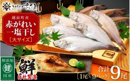干物 セット 赤がれい 一塩干し 大サイズ （1尾 × 9パック入り）1尾約170g【福井県産 赤カレイ 小分け 個包装 詰め合わせ 保存料・着色料 無添加 おかず 惣菜 冷凍食品】 [e04-a090]