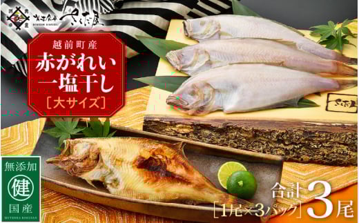 干物 セット 赤がれい 一塩干し 大サイズ （1尾 × 3パック入り）1尾約170g【福井県産 赤カレイ 小分け 個包装 詰め合わせ 保存料・着色料 無添加】 [e04-a091]