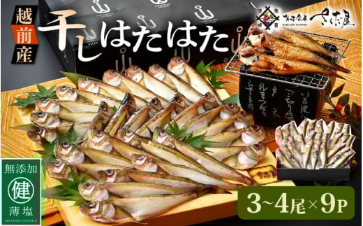 越前産 干しはたはた（3～4尾）× 9パック 越前塩のみで仕上げた一塩干し！【干物 ひもの ハタハタ 海鮮 冷凍 個包装】 [e04-a107]