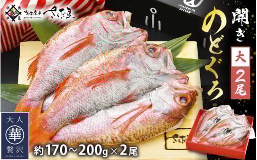 のどぐろ 開き 大サイズ × 2尾（170～200g / 尾）【干物 ひもの 無添加 のどぐろ ノドグロ あかむつ アカムツ 冷凍 贈答 化粧箱入 個包装】 [e04-b030]
