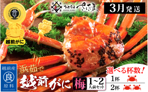 越前がに本場の越前町からお届け！越前がに 浜茹で≪梅セット≫1～2人前 かに酢 かにの食べ方しおり かにスプーン付き【かに カニ 蟹】【福井県 越前町 雄 ズワイガニ ボイル 冷蔵 越前ガニ 越前かに 越前カニ ずわいがに ずわい蟹 かに カニ 蟹】【3月発送分】【小サイズ：300～400g × 2杯（※茹で前重量）】希望日指定可 備考欄に希望日をご記入ください [e04-x009【】03b]