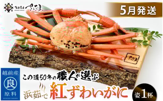 ≪浜茹で≫紅ずわいがに × 1杯 この道50年の職人が選びました！【紅ズワイガニ 紅ずわい蟹 かに カニ 蟹 姿 ボイル 冷蔵 福井県】【5月発送分】希望日指定可 備考欄に希望日をご記入ください [e04-x013【】05]