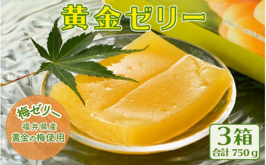【先行予約】 夏の水羊羹！「黄金ゼリー」 250g × 3箱（計750g） 【2026年6月上旬以降発送予定】 自慢の白餡と「黄金梅」ピューレのコラボ！ [e07-a015]