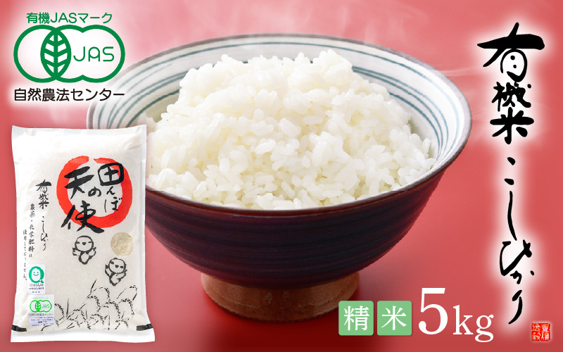 令和7年産 有機JAS 米 越前コシヒカリ 5kg 福井県産【精米】【有機栽培 JAS認証 人気品種 こしひかり 5キロ】 [e10-c006]