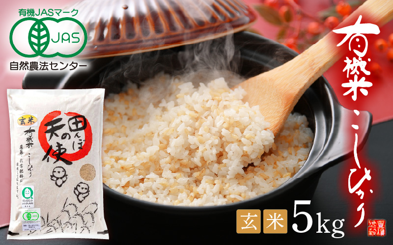 令和7年産 有機JAS 米 越前コシヒカリ 5kg 福井県産【玄米】【有機栽培 JAS認証 人気品種 こしひかり 5キロ】 [e10-b006]