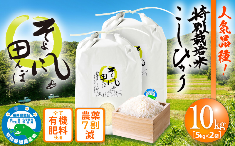 令和7年産 新米 特別栽培米 コシヒカリ 10kg 福井県産米（有機肥料100% 農薬7割減）【令和7年産 人気品種】 [e10-b005]