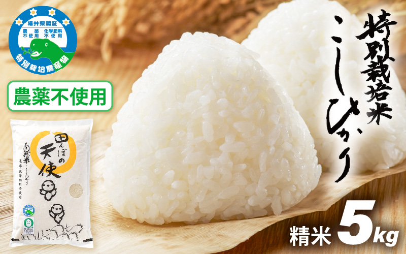【令和7年産】農薬不使用 特別栽培米コシヒカリ5kg【精米】 福井県認証区分1取得「田んぼの天使」越前町【5キロ お米 コメ 農薬化学肥料不使用 送料無料】 [e10-b008]