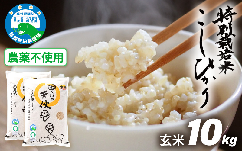 【令和7年産】農薬不使用 特別栽培米コシヒカリ10kg（5kg×2）【玄米】福井県認証区分1取得「田んぼの天使」越前町【10キロ お米 コメ 農薬化学肥料不使用 送料無料】 [e10-d004]
