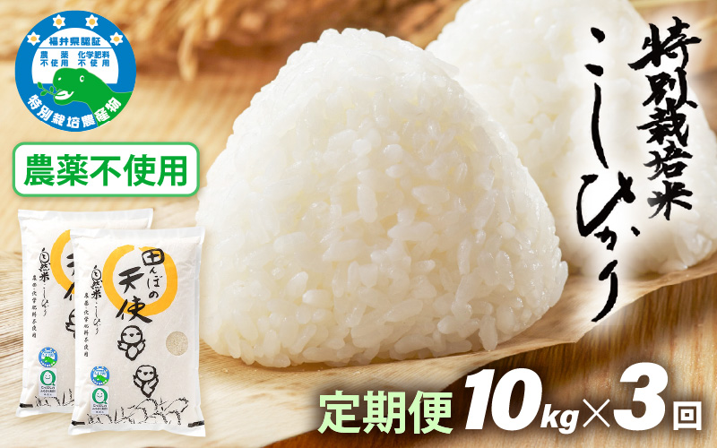 《3ヶ月定期便》農薬不使用 こしひかり 10kg（5kg×2袋）×3ヶ月連続 計30kg 令和7年産 特別栽培米コシヒカリ【精米】福井県認証区分1取得「田んぼの天使」越前町【5キロ お米 コメ 農薬化学肥料不使用 送料無料】 [e10-k002]