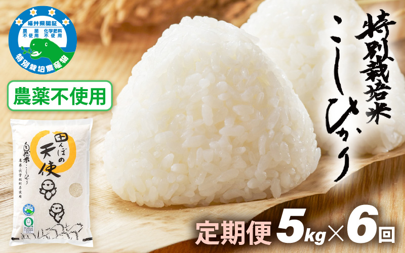 《6ヶ月定期便》農薬不使用 こしひかり 5kg×6ヶ月連続 計30kg 令和7年産 特別栽培米コシヒカリ【精米】福井県認証区分1取得「田んぼの天使」越前町 【5キロ お米 コメ 農薬化学肥料不使用 送料無料】 [e10-k003]