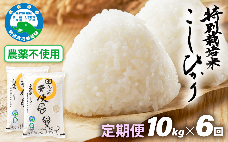 《6ヶ月定期便》農薬不使用こしひかり 10kg（5kg×2袋）×6ヶ月連続 計60kg  令和7年産 特別栽培米コシヒカリ【精米】福井県認証区分1取得「田んぼの天使」越前町【5キロ お米 コメ 農薬化学肥料不使用 送料無料】 [e10-o003]