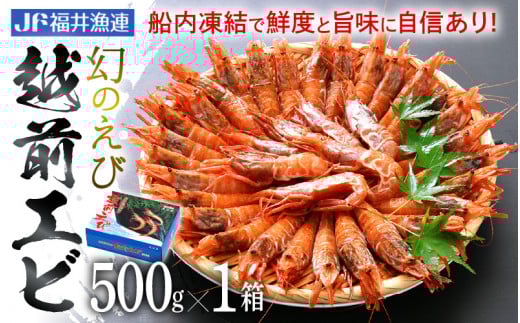 「幻のえび」 越前エビ 500g 船内凍結 鮮度と旨味に自信あり！【 福井漁連 ブランド品 越前えび 】 [e12-a039]