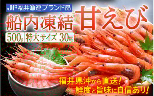 甘えび 特大サイズ30尾（計500g）船内凍結 福井県沖から直送！鮮度と旨味に自信あり【福井漁連 ブランド品 甘エビ あまえび 】 [e12-a036]