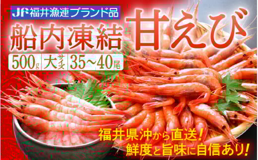 甘えび 大サイズ35～40尾（計500g）船内凍結 福井県沖から直送！鮮度と旨味に自信あり【福井漁連 ブランド品 甘エビ あまえび 】 [e12-a040]