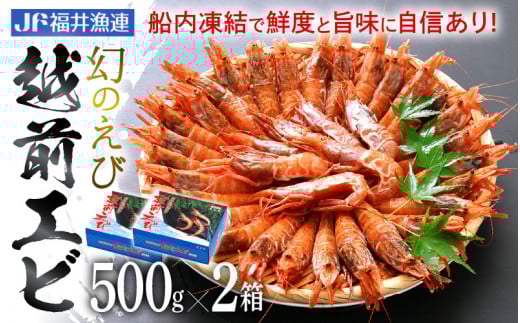 「幻のえび」 越前エビ 1kg （500g × 2箱） 船内凍結 鮮度と旨味に自信あり！【 福井漁連 ブランド品 越前えび 1キロ 】 [e12-b008]