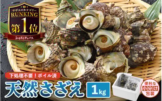 【先行予約】 天然 さざえ ボイル済 13～15個入 1kg（500g × 2袋）産地直送でお届け！ 【2026年6月中旬より順次発送】【越前町産 栄螺 サザエ 冷凍 小分け 海鮮 BBQ バーベキュー】 [e14-a010] 