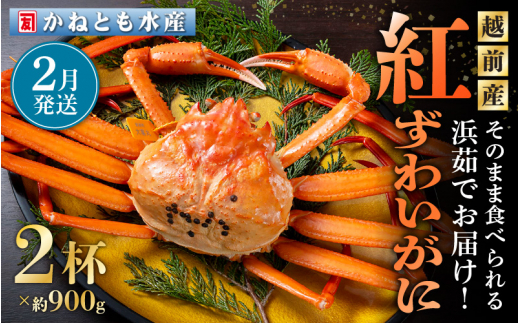 ≪浜茹で≫越前産 紅ずわいがに 約900g × 2杯 食べ方しおり付【紅ズワイガニ カニ かに 蟹 姿 ボイル 冷蔵 福井県】【2月発送分】希望日指定不可 [e14-x001【】02]