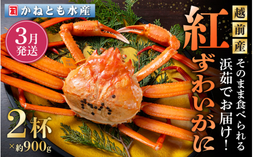 ≪浜茹で≫越前産 紅ずわいがに 約900g × 2杯 食べ方しおり付【紅ズワイガニ カニ かに 蟹 姿 ボイル 冷蔵 福井県】【3月発送分】希望日指定不可 [e14-x001【】03]