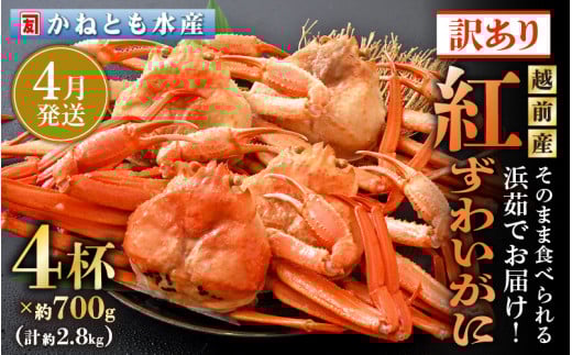 【訳あり】≪浜茹で≫越前産 紅ずわいがに 約700g × 4杯 食べ方しおり付【紅ズワイガニ カニ かに 蟹 姿 ボイル 冷蔵 福井県】【4月発送分】希望日指定不可 [e14-x002【】04] 