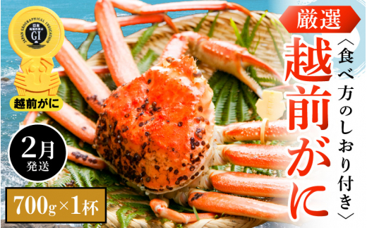 越前がに本場の越前町からお届け！ 越前がに 浜茹で 小サイズ（生で700g以上） × 1杯 食べ方しおり付き【2月発送分】希望日指定可 備考欄に希望日をご記入ください [e14-x005【】02]