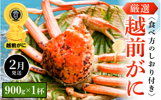 越前がに本場の越前町からお届け！ 越前がに 浜茹で 中サイズ（生で900g以上） × 1杯 食べ方しおり付き【2月発送分】希望日指定可 備考欄に希望日をご記入ください [e14-x006【】02]