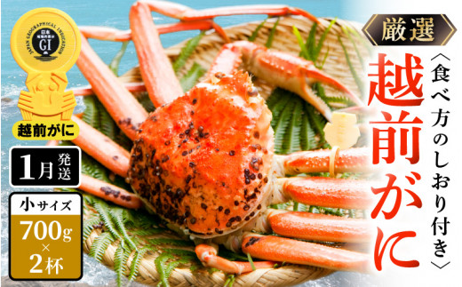 越前がに本場の越前町からお届け！≪浜茹で≫越前がに 小サイズ（生で700g以上）× 2杯 合計1.4Kg以上 食べ方しおり付【1月発送分】希望日指定可 備考欄に希望日をご記入ください [e14-x014【】01]