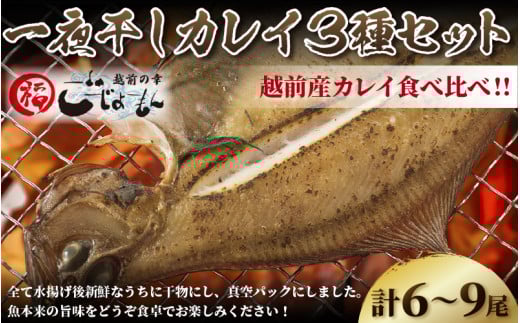 越前産 かれい 「一夜干しカレイ3種セット（合計6～9尾）」 [e15-a001]