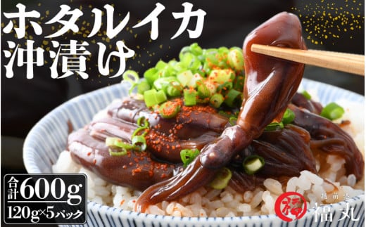 ホタルイカ沖漬け 120g × 5パック 福井の網元漁師「福丸」が厳選！全国トップクラスの漁獲量 越前町よりお届け [e15-a008]