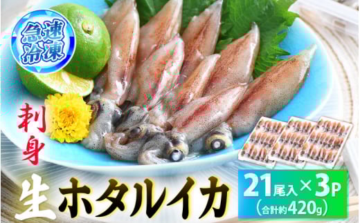 お中元 ギフト 急速冷凍 生 ホタルイカ 21尾入 × 3パック 合計約420g（刺身・しゃぶしゃぶ用）小分け ふっくらプリプリ 鮮度抜群 上品な甘みを存分にお楽しみください！【ほたるいか おつまみ 酒の肴 お取り寄せ グルメ 冷凍 宅飲み】 御中元 のし対応可 [e15-a014]