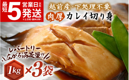 越前産 カレイ 切り身 計3kg（1kg × 3袋） バラ凍結 最短5営業日以内発送！使い勝手抜群！ 福井県網元漁師が厳選！ 肉厚な越前産 カレイ（無塩） 【 焼き魚 煮付け バラ凍結便利 】 [e15-a033]