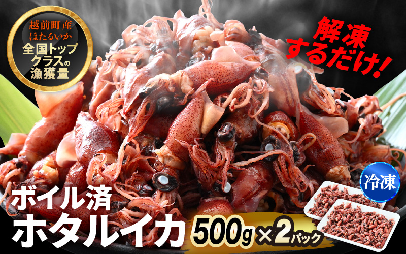 解凍するだけ ! 越前町産 ボイル済 ホタルイカ 計1kg（500g × 2P） 急速凍結 冷凍 ほたるいか 全国トップクラスの漁獲量【茹で ボイル 日本海 いか イカ 烏賊 福井県 魚介 海鮮 惣菜 さかな おつまみ 酒の肴 お取り寄せ グルメ 宅飲み 小分け 日常使い 1万円以下 買い回り】 [e15-a053]