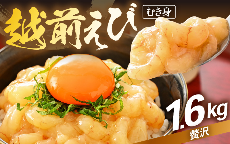 殻むき不要！幻と呼ばれる「越前えび」（むき身）1.6kg（200g × 8袋）背わた処理済【天然 日本海 越前町産 鮮度抜群 国産 ブランド エビ がまエビ ガラエビ むきエビ 小分け えび 魚介類 魚貝類 福井県 魚介 海鮮 寿司 刺身 サラダ さかな 甘えび丼 丼 おつまみ 宅飲み 日常使い おすそわけ ギフト】 [e15-c005]